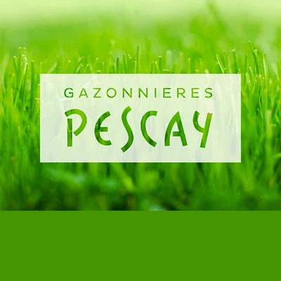 Pescay image 1