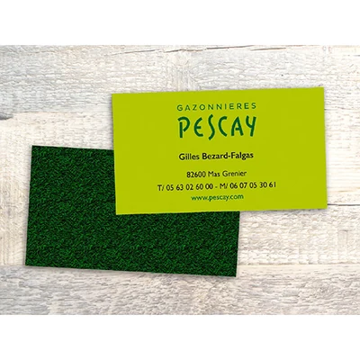 Pescay image 2