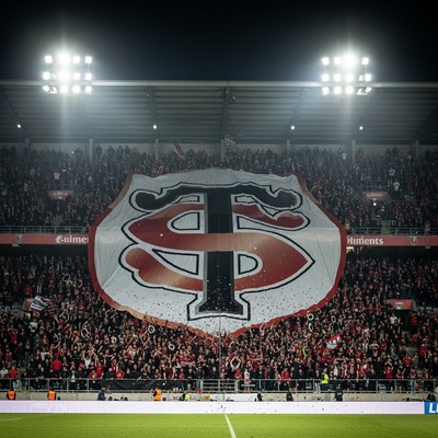 Stade Toulousain banner