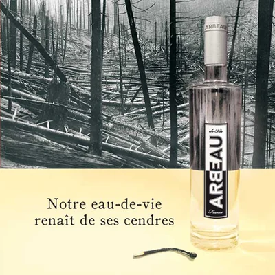 Arbeau image 4